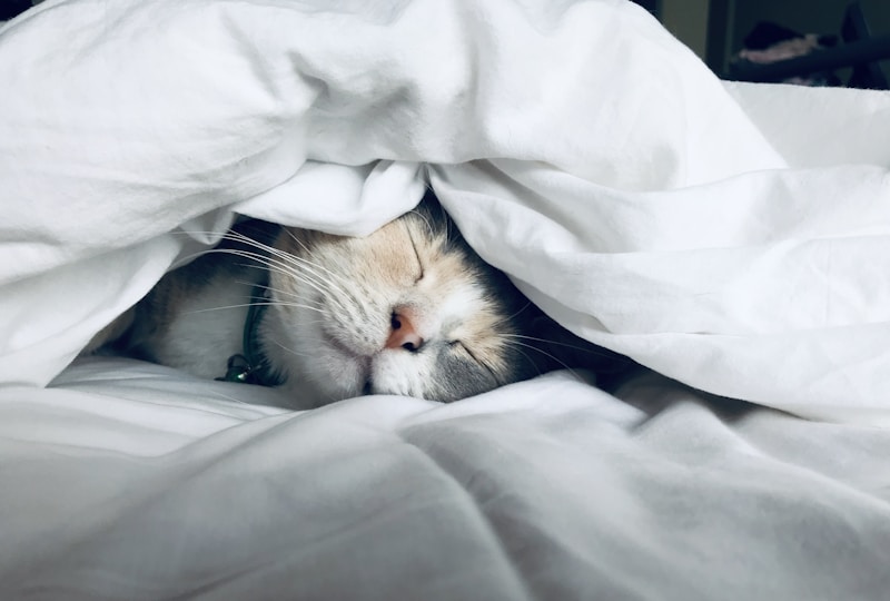 Sleep and hormone health